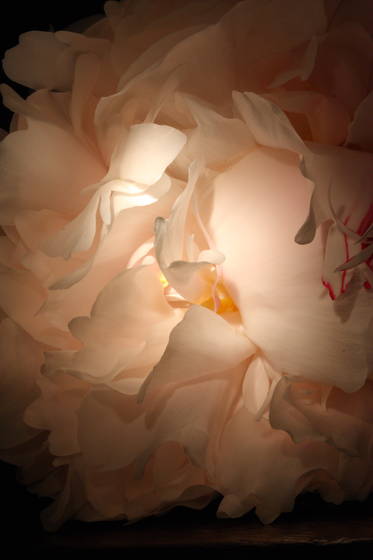 Untitled_1