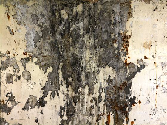 Tube_wall