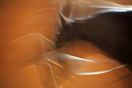 Ghost_dressage_2