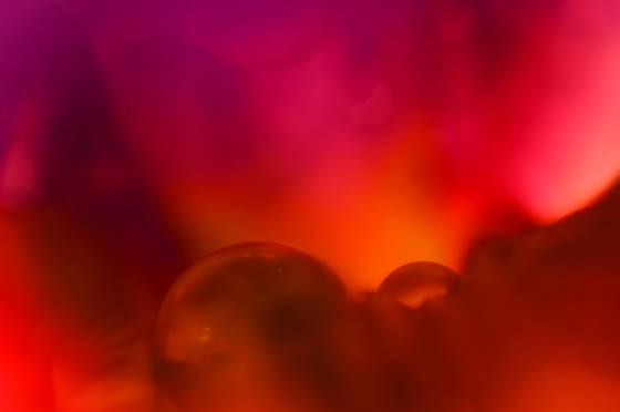 Red_raindrops_on_iris