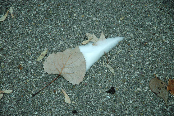 After_the_fall