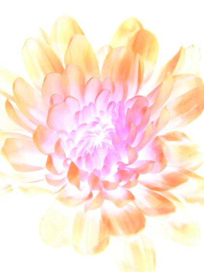 Untitled_04
