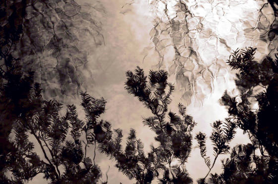 Untitled_4