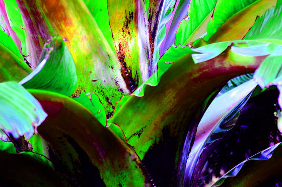 Untitled_6