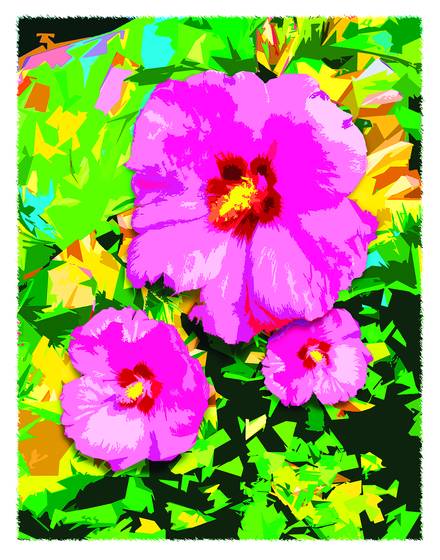 Rose_of_sharon