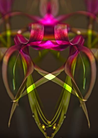 Untitled_2