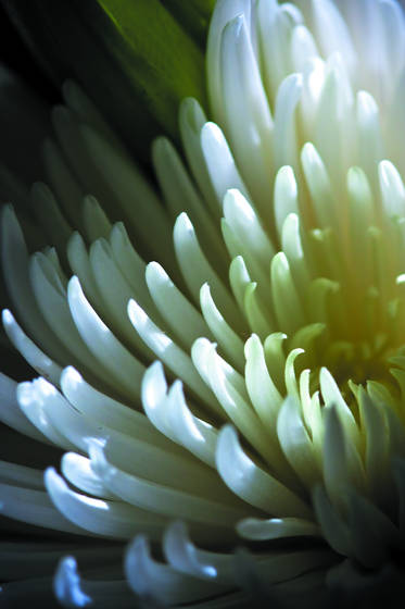 Touched_by_light