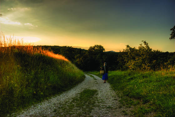 Road_to_haluzice