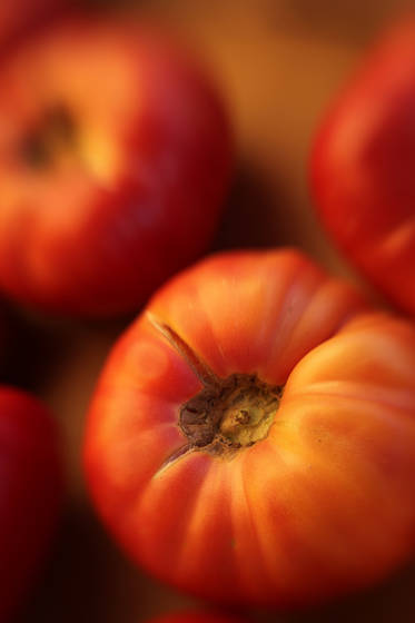 Tomatoes