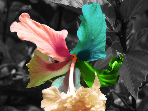Color_wheel