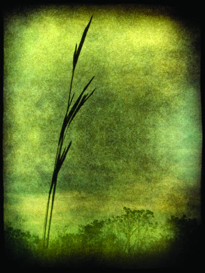 Silhouettes_and_shadows__53