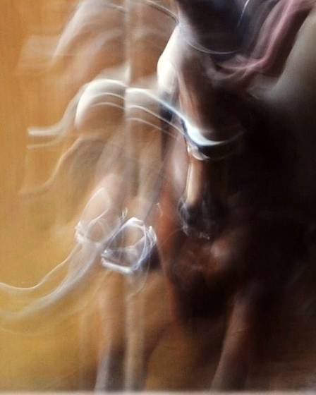 Ghost_dressage_4