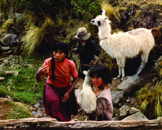 Child_shepherds