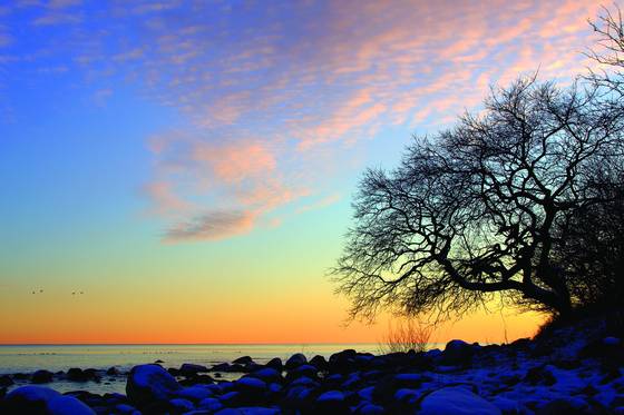 Winter_on_the_coast