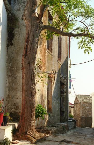 Old_house