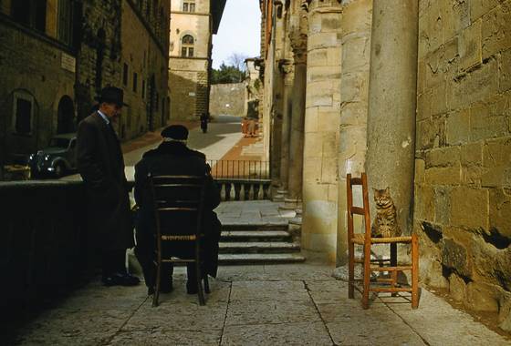 Arezzo