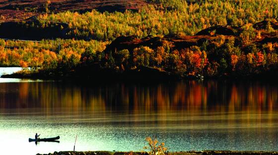 Fall_journey