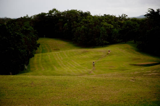 Rubber_plant_golf_course