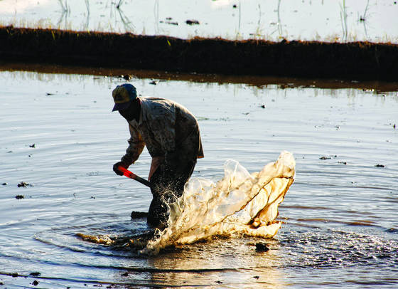 Early_morning_work