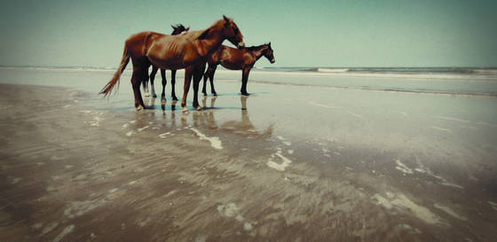 Untitled_1