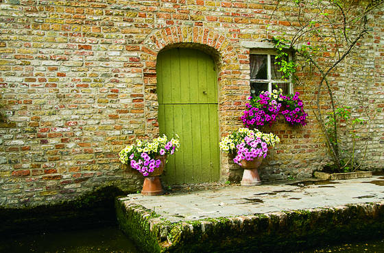 Backdoor