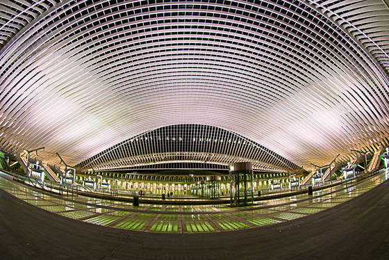 Midnight_arrival