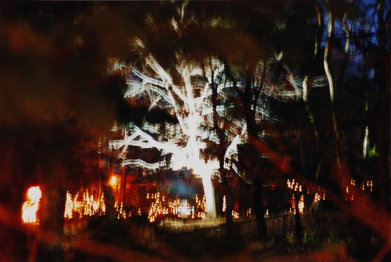 Christmas_at_the_bronx_zoo