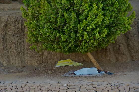 Asleep_by_the_nile