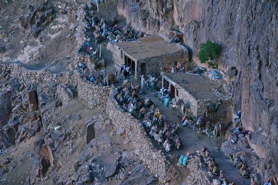 Dawn_on_mt_sinai