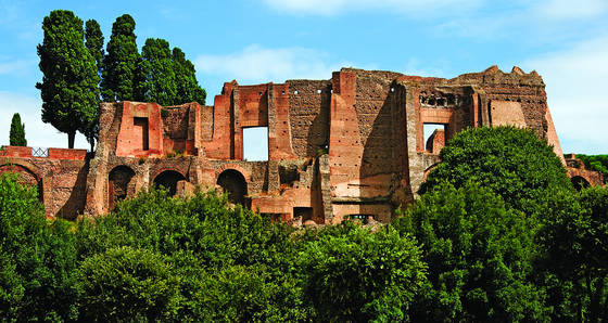 Near_the_coliseum