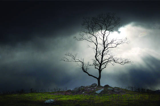 Rappahanock_light