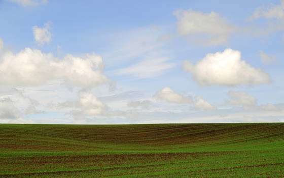 Idaho_field