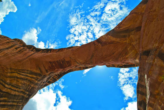 Looking_up