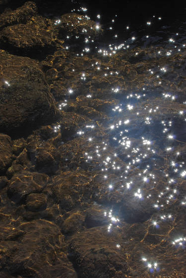 The_creek_s_galaxy