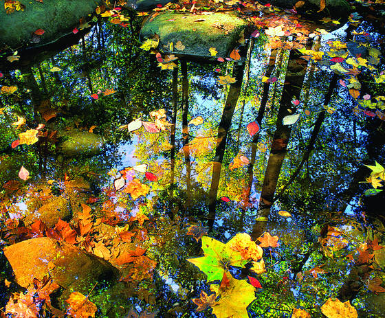 Earth_eye