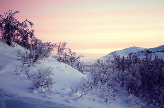 Christmas_day_ii