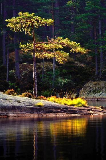 Fall_i