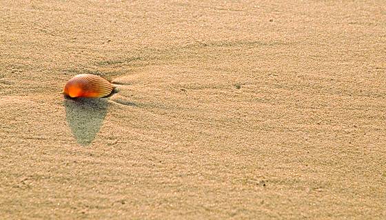 Golden_sands