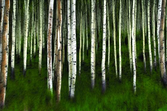 Floating_trees