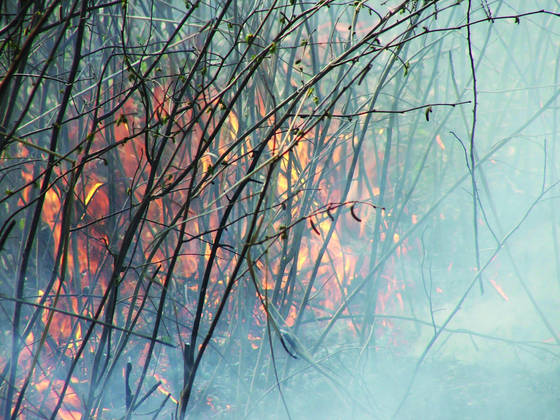 Fire_and_smoke