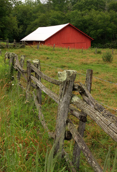 Along_the_blue_ridge_parkway