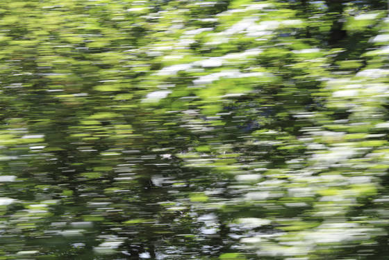 Motion