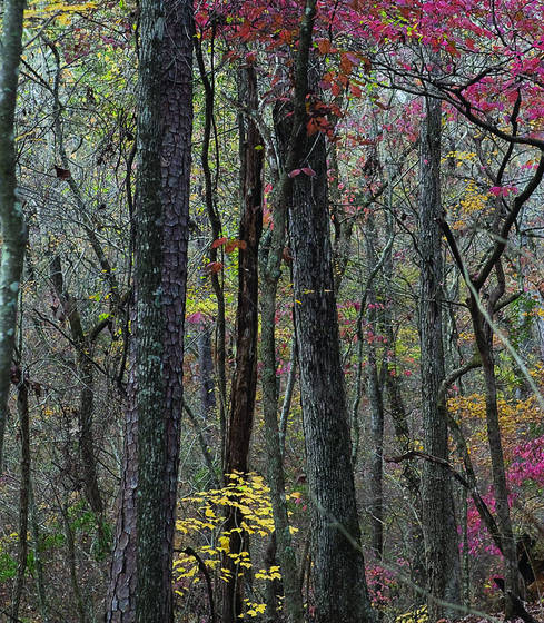 Autumn_fantasy