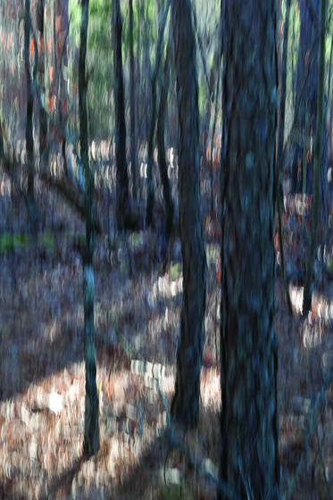 Ouachita_impressions