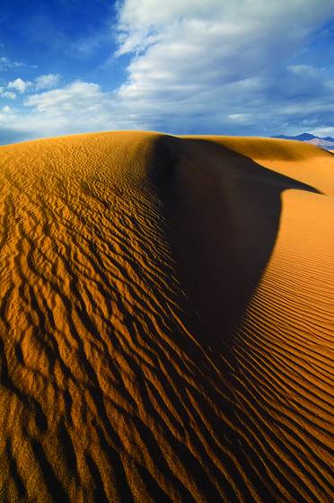 Raven_dune