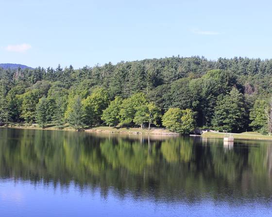 Trout_lake