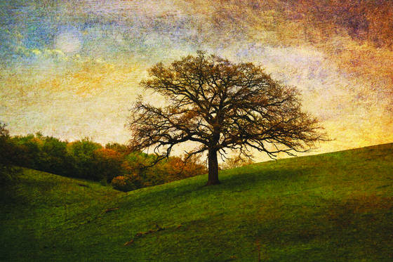 Dawn_light_ii