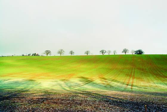 Open_field