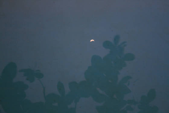 Pool_reflection