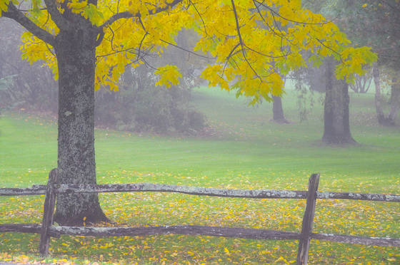 Vermont_morning